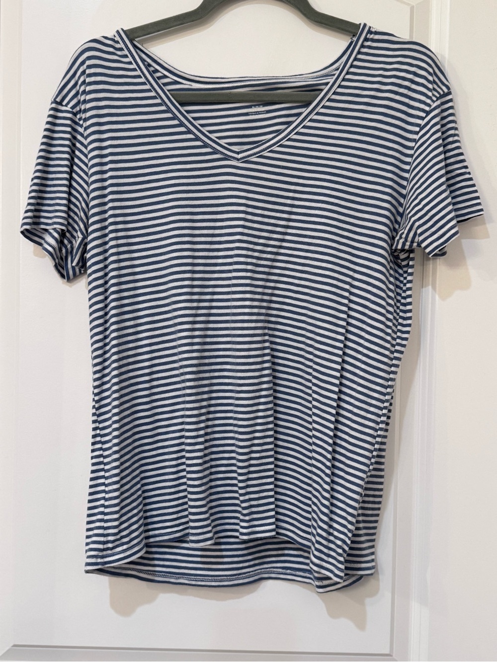 American Eagle Outfitters Navy and White Striped V-Neck Tee